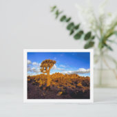 " Zonsopgang op de levende woestijn " Briefkaart (Staand voorkant)