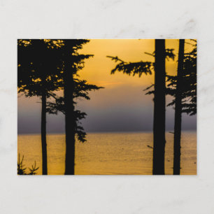 Zonsopgang op Gouldsboro Bay, Maine Briefkaart