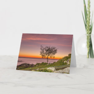 Zonsopgang op het Strand Armação Kaart
