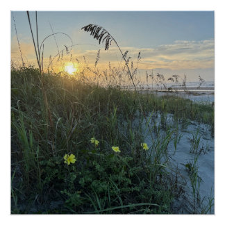 Zonsopgang op het strand boven de duinen perfect poster