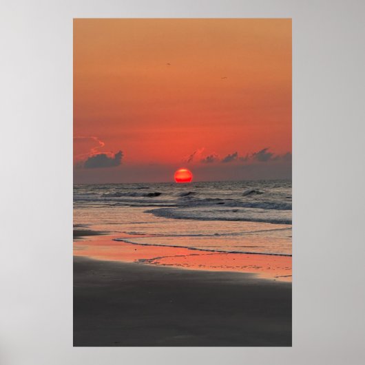 Zonsopgang op het strand van Isle Of Palms Poster (Voorkant)