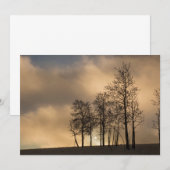 Zonsopgang op wolken en bomen bedankkaart (Voorkant / Achterkant)