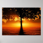 Zonsopgang Silhouet Poster (Voorkant)