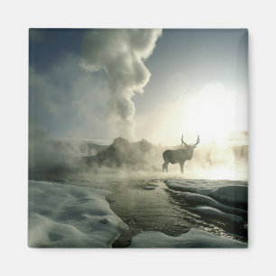 Zonsopgang Silhouet van Eland bij Castle Geyser Magneet