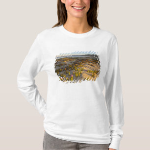 Zonsopgang verlicht de zandduinen en zeevijg bij t-shirt