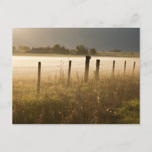 Zonsopgang verlicht mist langs hek bij Charlo Briefkaart