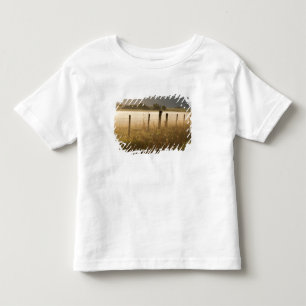 Zonsopgang verlicht mist langs hek bij Charlo Kinder Shirts