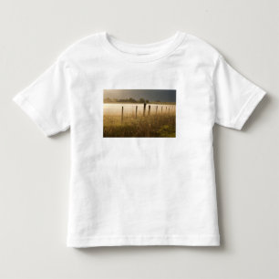 Zonsopgang verlicht mist langs hek bij Charlo Kinder Shirts