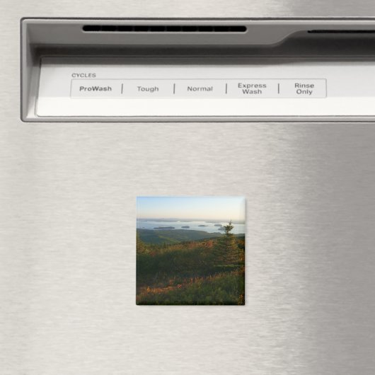 Zonsopkomst bij Cadillac Mountain I Magneet (Insitu (Vaatwasser))