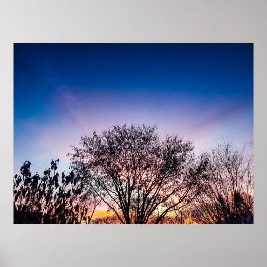Zonsopkomst boven Bomen Poster (Voorkant)