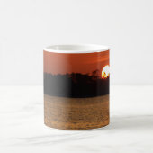Zonsopkomst boven Perdido Bay Koffiemok (Center)