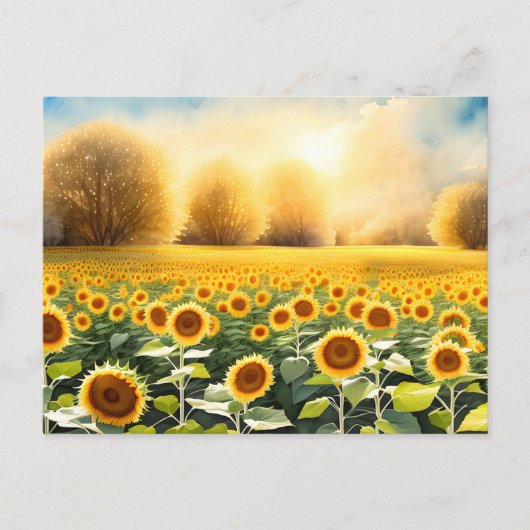 Zonsopkomst Over een Gebied van Zonnebloemen Brief Briefkaart (Voorkant)