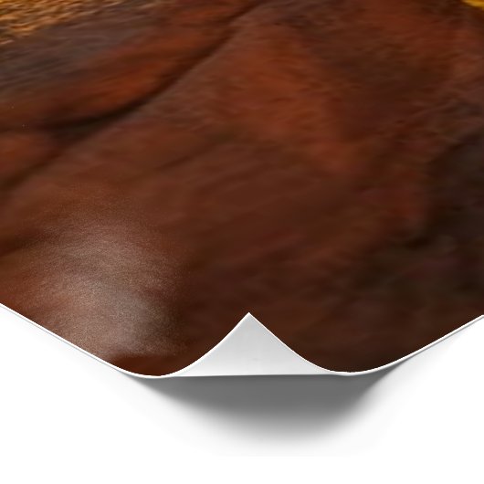 Zonsopkomst over een Glanzend Poster van Canyon (Hoek)