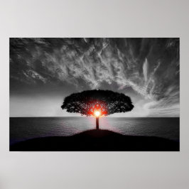 Zonsopkomst Zonsondergang: Kleurenplons Poster