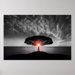Zonsopkomst Zonsondergang: Kleurenplons Poster