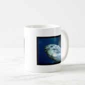 Zonvis Mola 001 Koffiemok (Voorkant rechts)