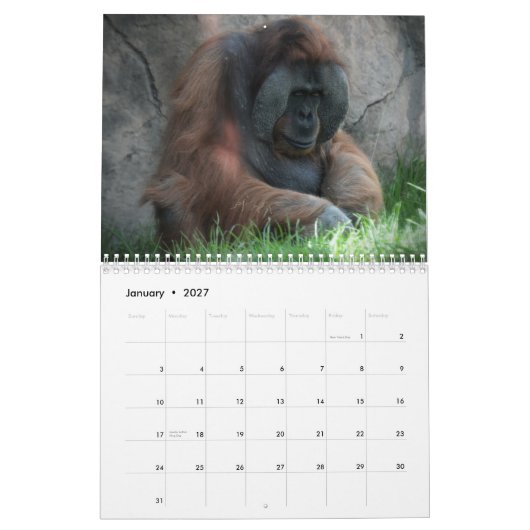 Zoo Animal Fun Kalender (Jan 2027)