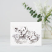Zoo Babies Briefkaart (Staand voorkant)