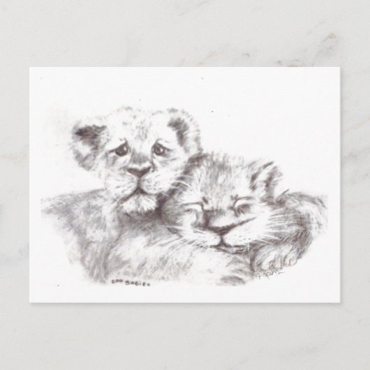 Zoo Babies Briefkaart (Voorkant)