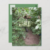 Zoo Bird house Briefkaart (Voorkant / Achterkant)