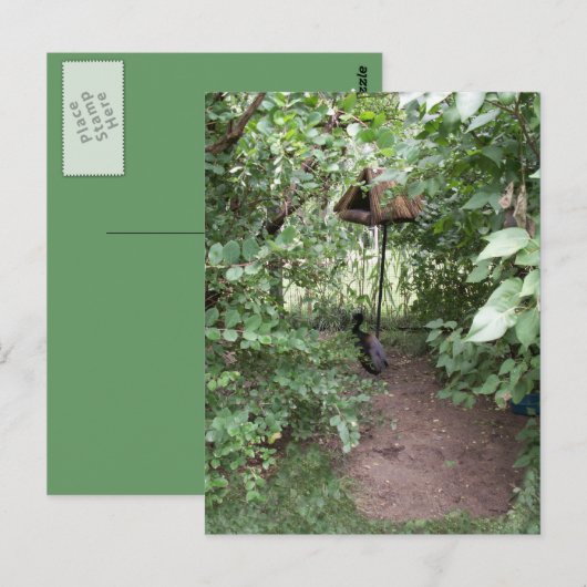 Zoo Bird house Briefkaart (Voorkant / Achterkant)