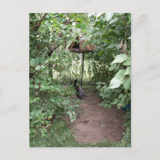 Zoo Bird house Briefkaart