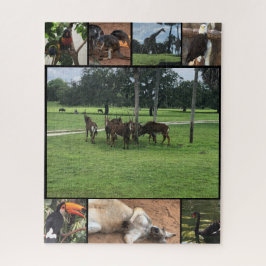 Zoo Days - Animal Puzzle Collage Legpuzzel