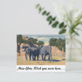 Zoo, Detroit, Michigan Briefkaart (Staand voorkant)