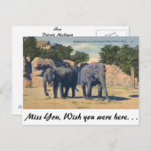 Zoo, Detroit, Michigan Briefkaart (Voorkant / Achterkant)