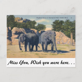 Zoo, Detroit, Michigan Briefkaart