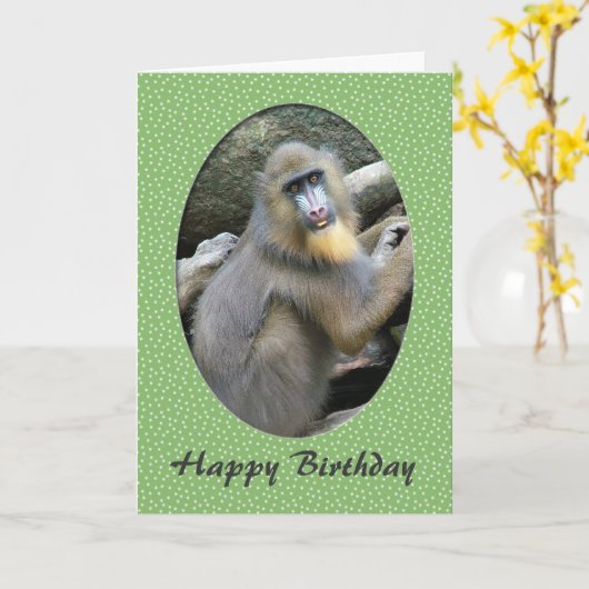 Zoo dierbaviaanse gefeliciteerde verjaardagskaart kaart (Gele Bloem)