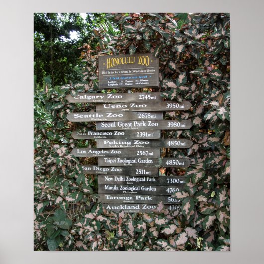 ZOO EIND AARDE - HONOLULU POSTER (Voorkant)