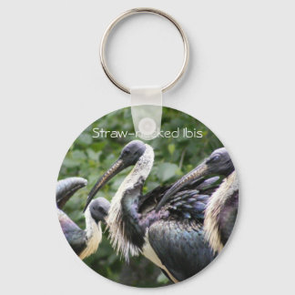Zoo? Ibis met strohals Sleutelhanger