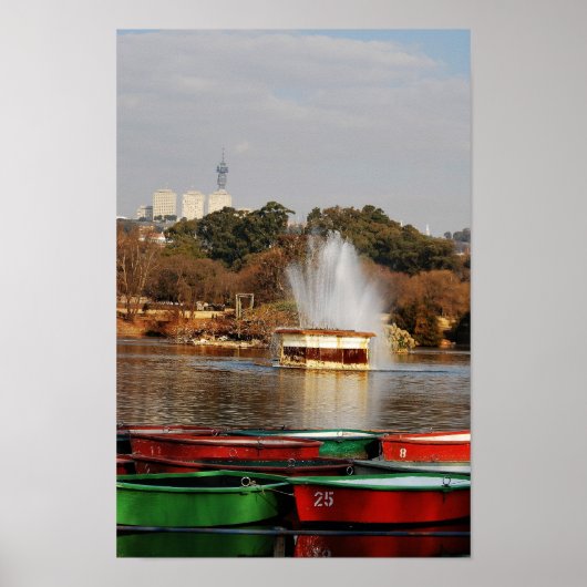 Zoo Lake Fountain Zuid-Afrika Poster (Voorkant)