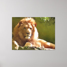 Zoo Lion Waterverf Canvas Afdruk