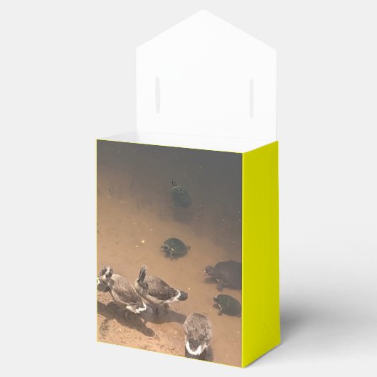 Zoo Love Bedankdoosjes (Geopend)