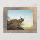 zoo lynx 2 briefkaart (Voorkant)