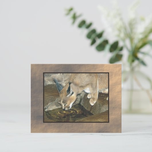 zoo lynx briefkaart (Staand voorkant)