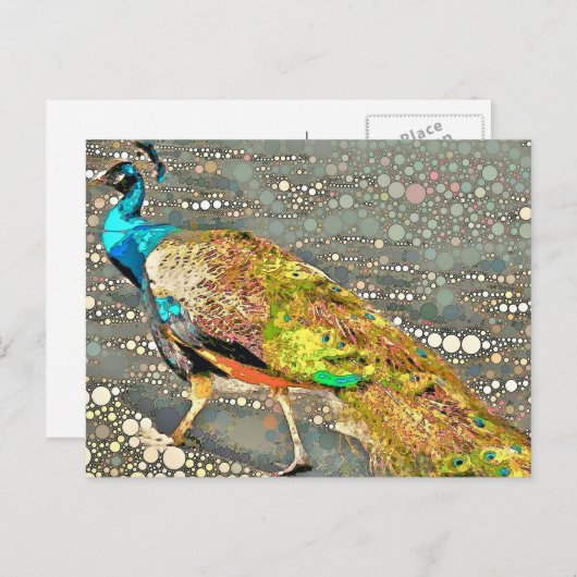 Zoo Peacock Briefkaart (Voorkant / Achterkant)