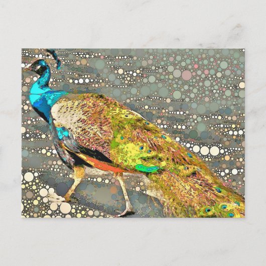 Zoo Peacock Briefkaart (Voorkant)