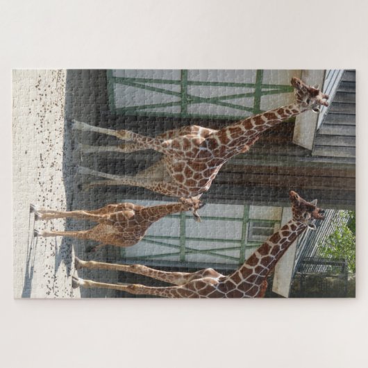 Zoo Puzzel: Giraffes met Baby Legpuzzel (Horizontaal)
