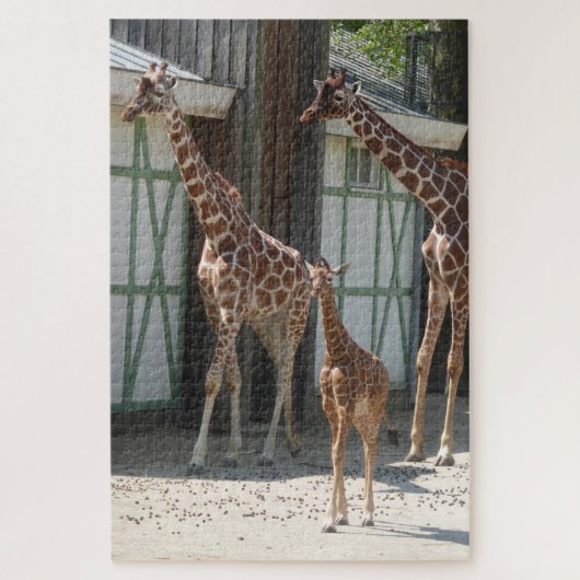 Zoo Puzzel: Giraffes met Baby Legpuzzel (Verticaal)