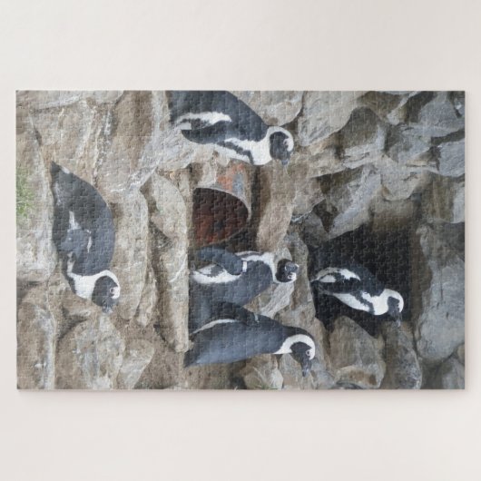 Zoo Puzzel: Schattigee Pinguïns Legpuzzel (Horizontaal)