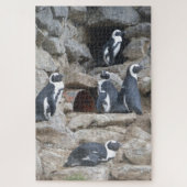 Zoo Puzzel: Schattigee Pinguïns Legpuzzel (Verticaal)
