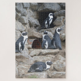 Zoo Puzzel: Schattigee Pinguïns Legpuzzel