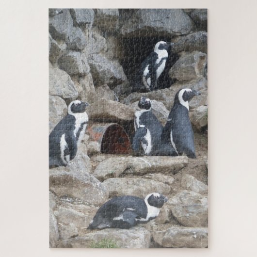 Zoo Puzzel: Schattigee Pinguïns Legpuzzel (Verticaal)