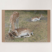 Zoo Puzzle: Cute Deer Legpuzzel (Horizontaal)
