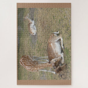 Zoo Puzzle: Cute Deer Legpuzzel