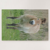 Zoo Puzzle: Cute Przewalski Horse Legpuzzel (Horizontaal)