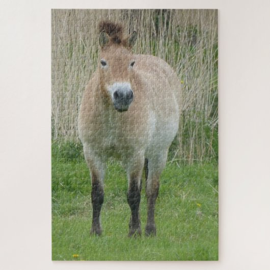 Zoo Puzzle: Cute Przewalski Horse Legpuzzel (Verticaal)